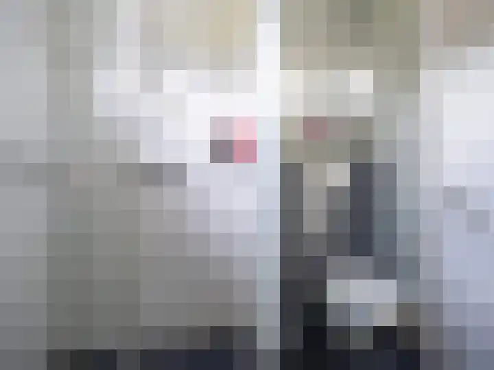Manegelaan 15 Gorssel thumbnail 18