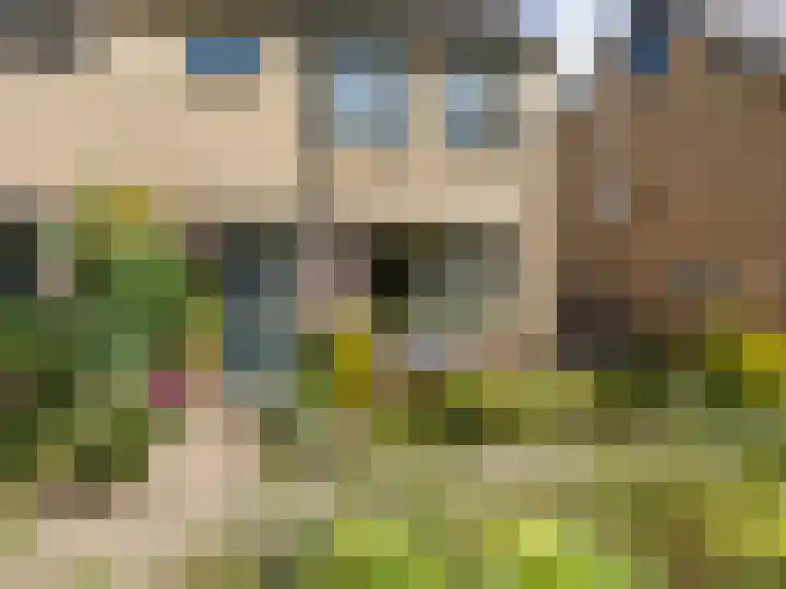 Manegelaan 15 Gorssel thumbnail 32