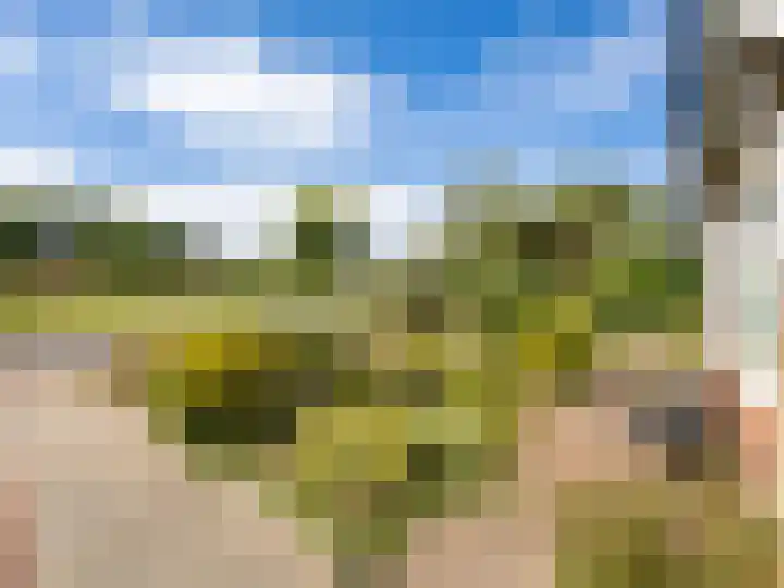 Manegelaan 15 Gorssel thumbnail 35