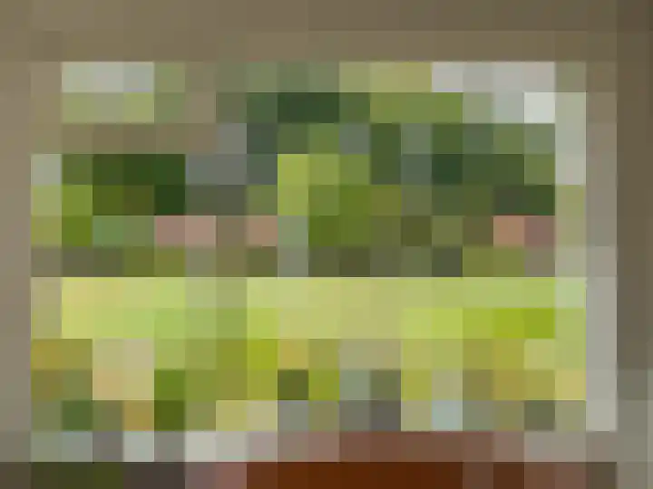 Manegelaan 15 Gorssel thumbnail 4
