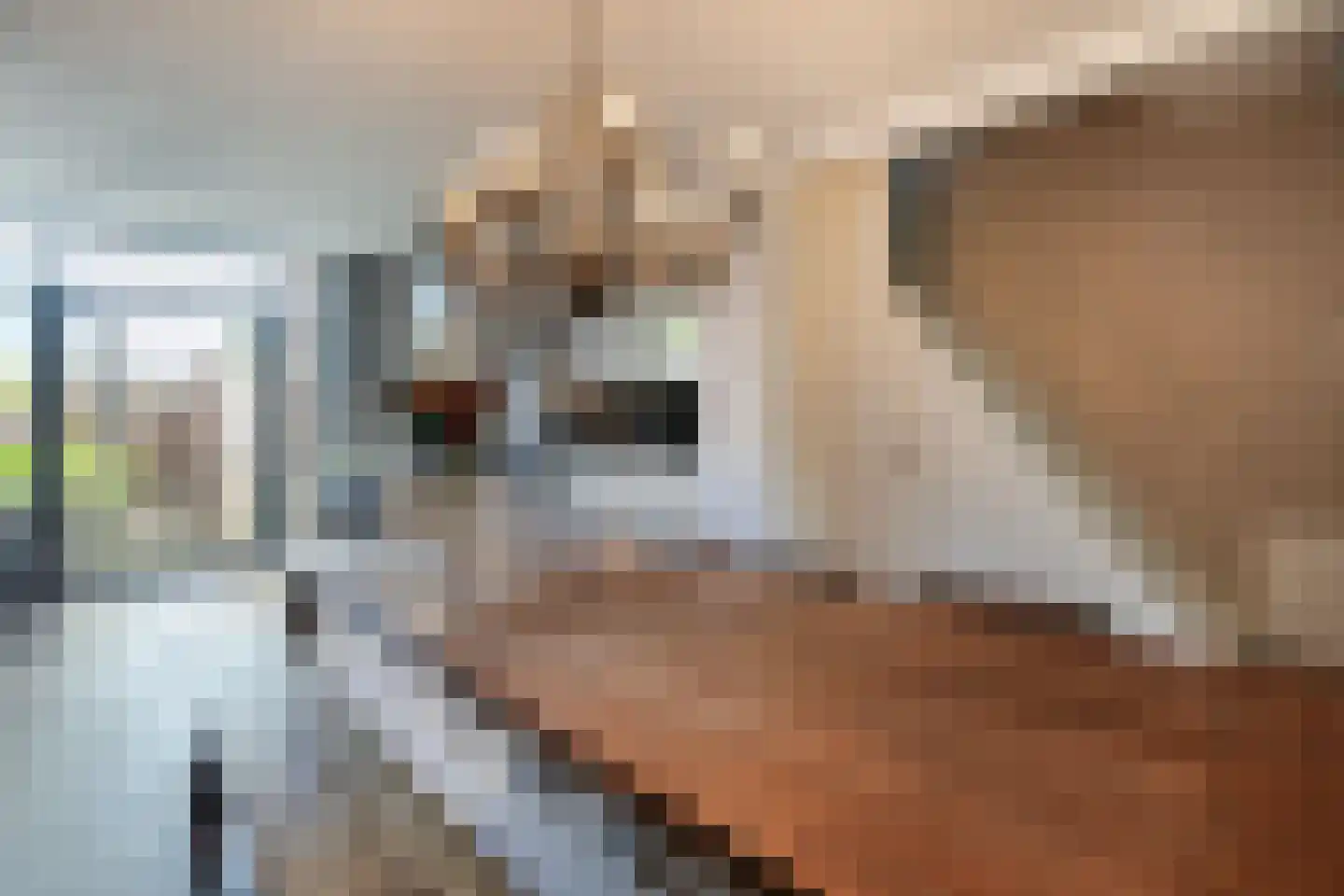 Manegelaan 15 Hoofddorp thumbnail 10