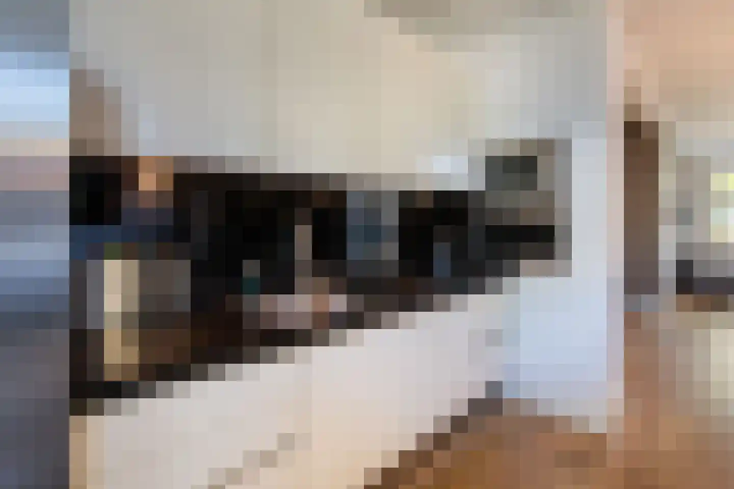 Manegelaan 15 Hoofddorp thumbnail 13