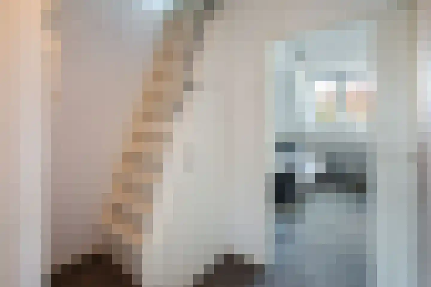 Manegelaan 15 Hoofddorp thumbnail 17