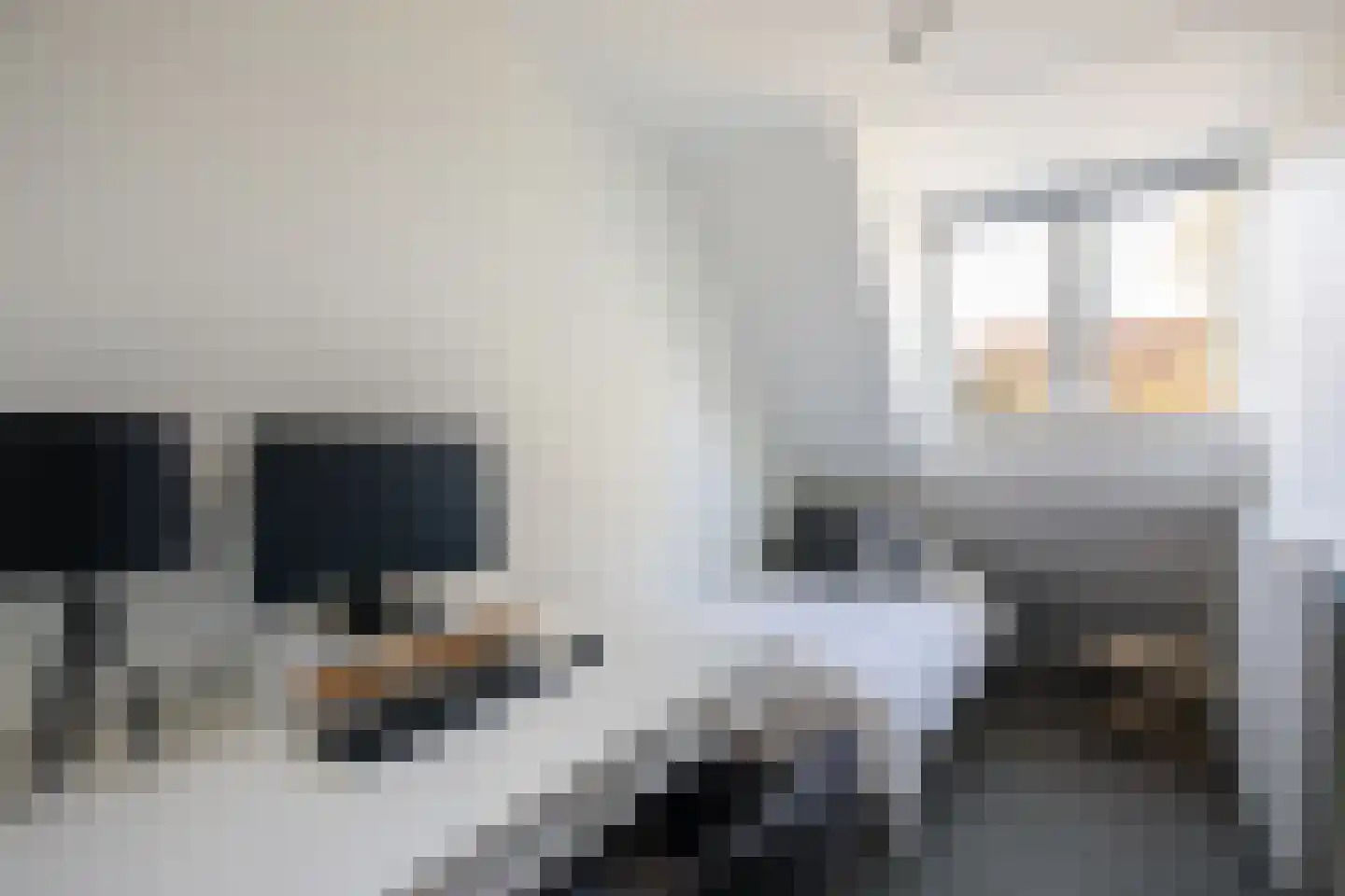 Manegelaan 15 Hoofddorp thumbnail 18
