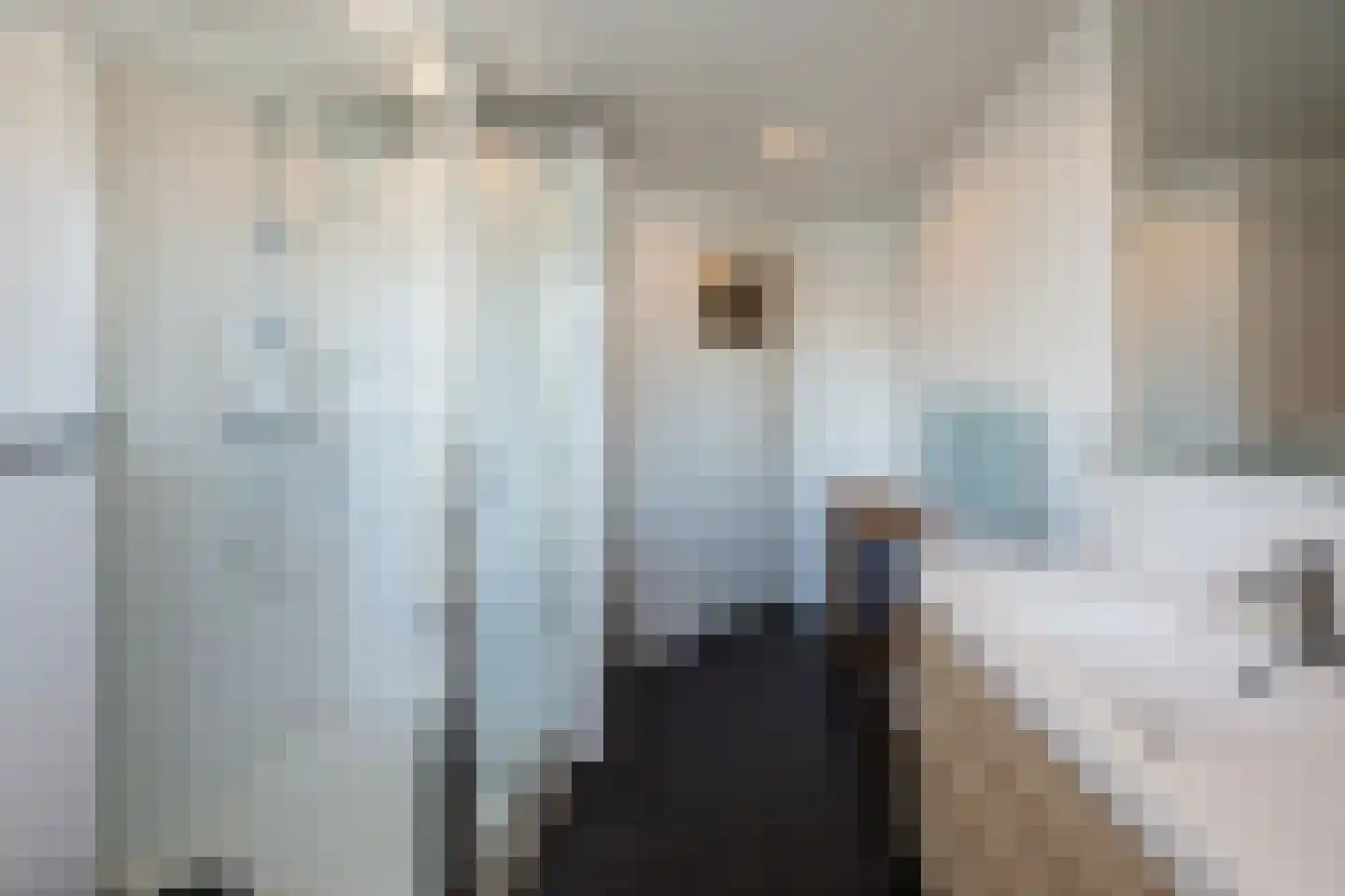 Manegelaan 15 Hoofddorp thumbnail 28