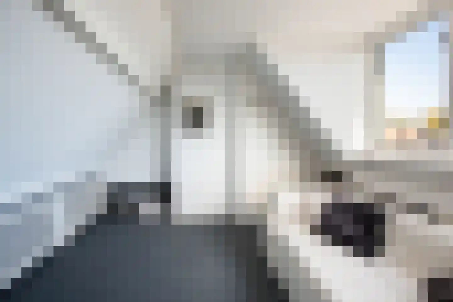 Manegelaan 15 Hoofddorp thumbnail 29