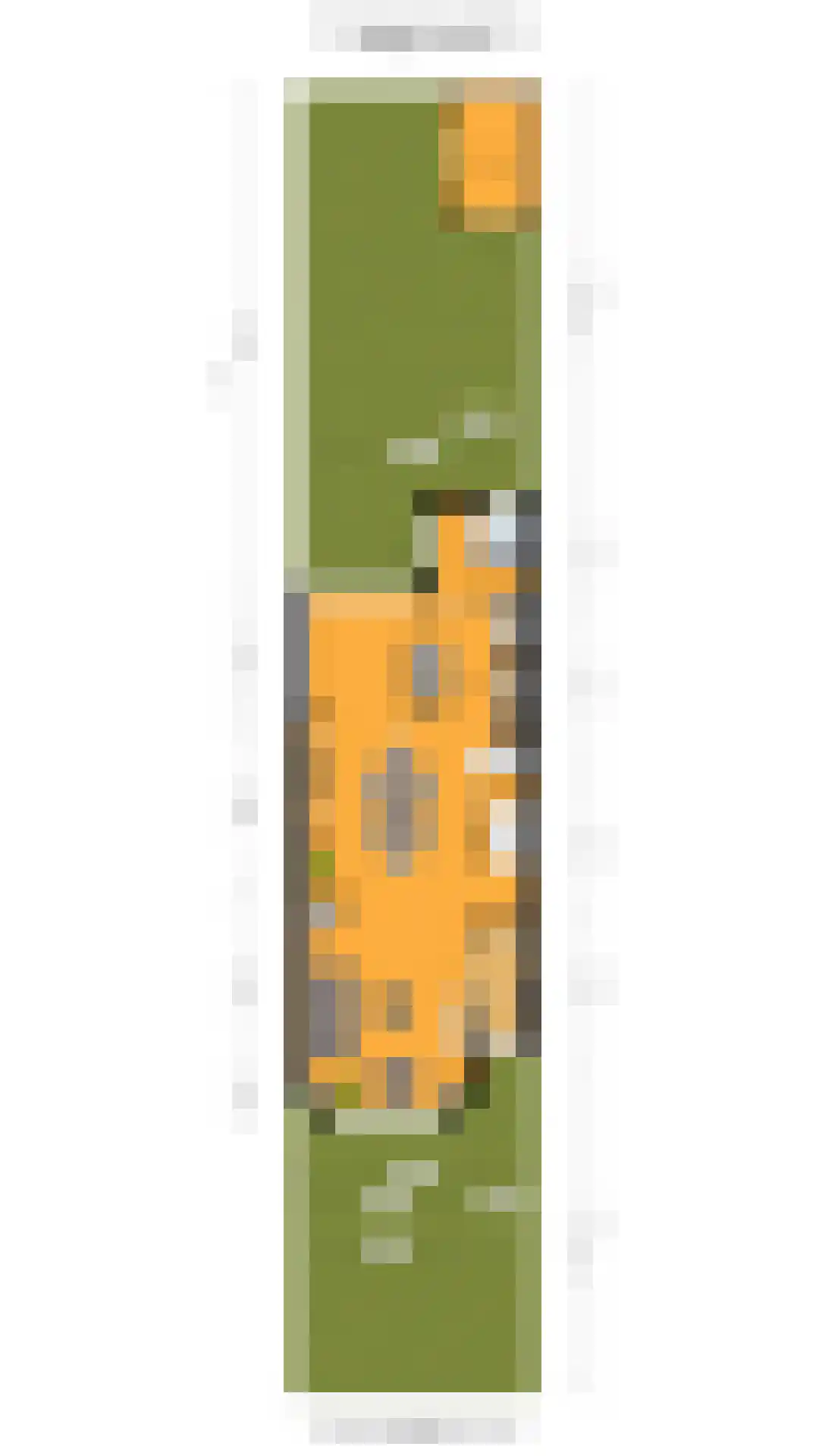 Manegelaan 15 Hoofddorp thumbnail 38