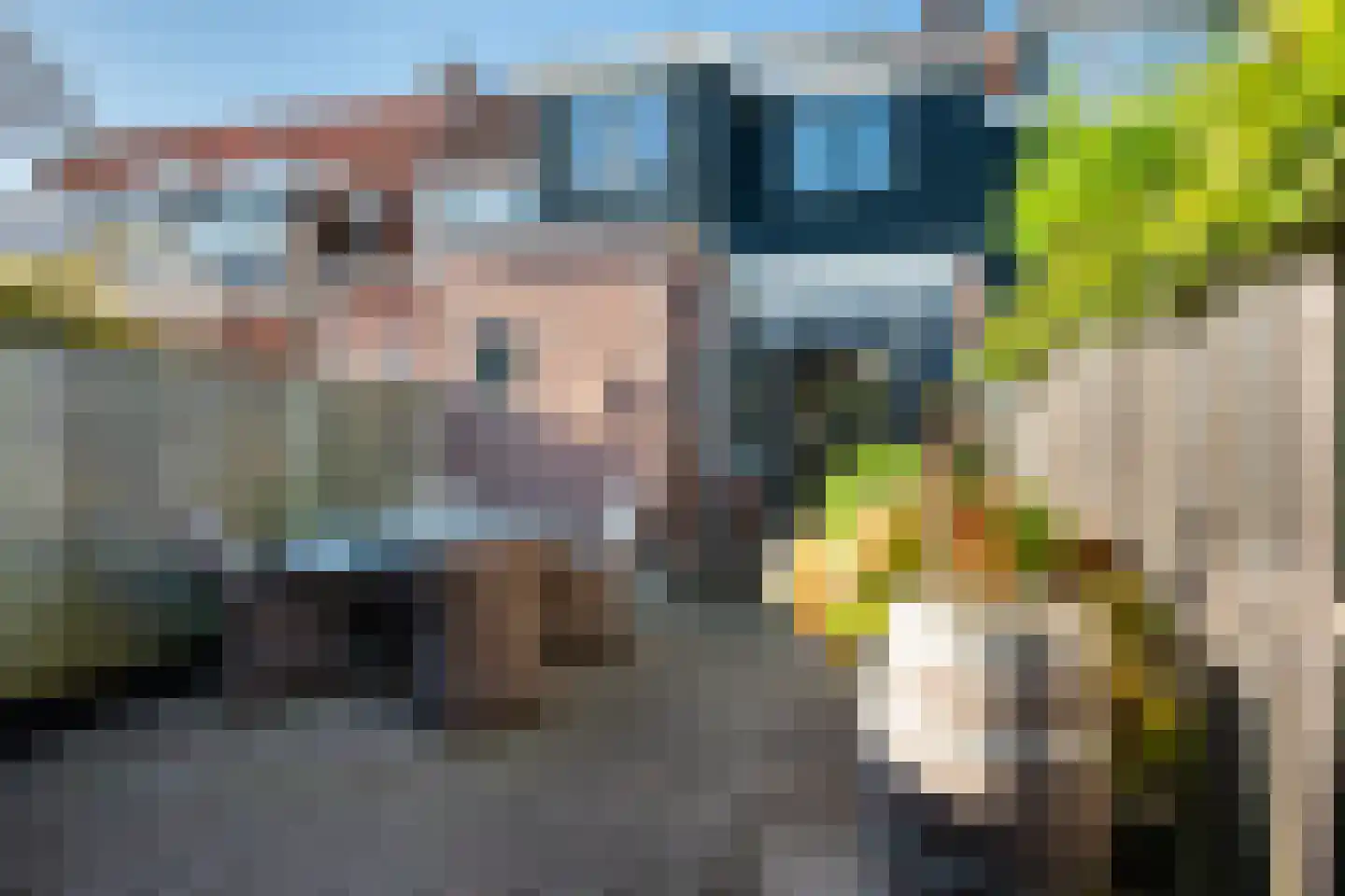 Manegelaan 15 Hoofddorp thumbnail 5