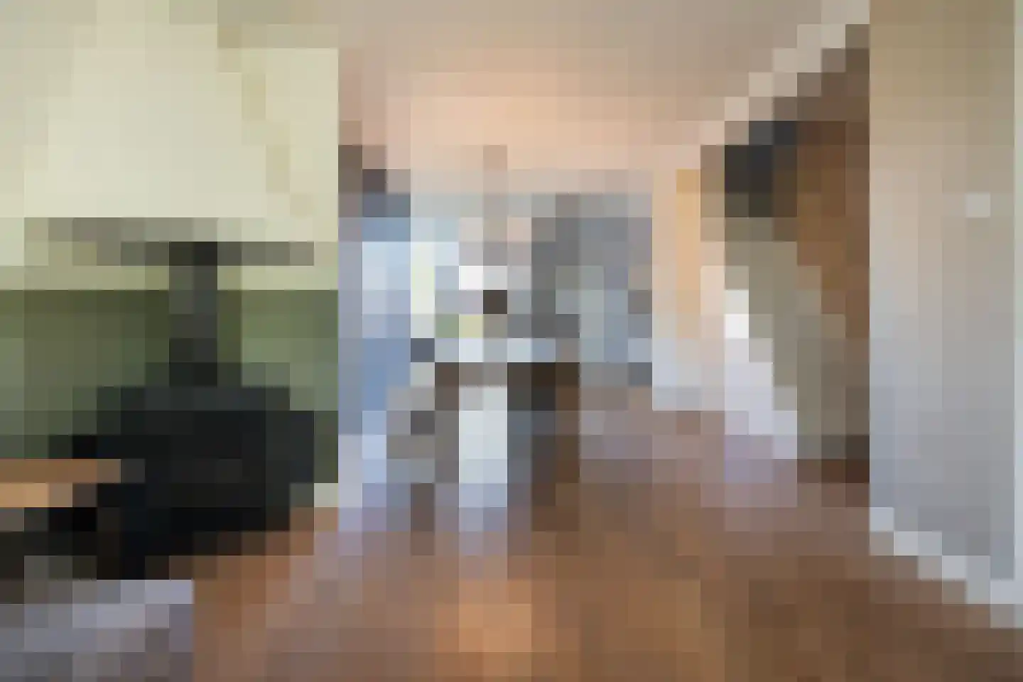 Manegelaan 15 Hoofddorp thumbnail 9