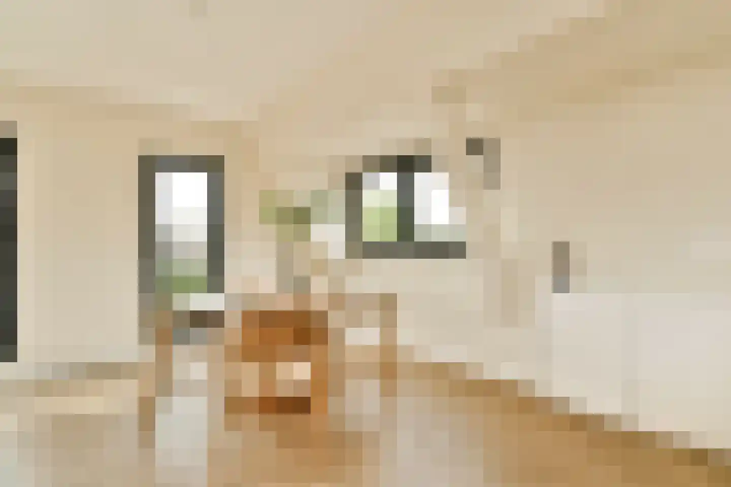 Manegelaan 16 A Hoofddorp thumbnail 10