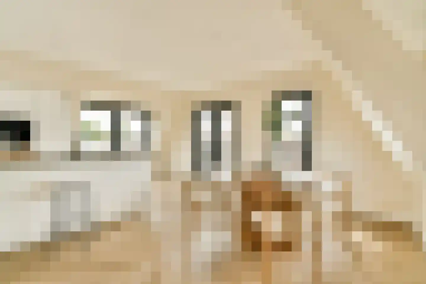 Manegelaan 16 A Hoofddorp thumbnail 11