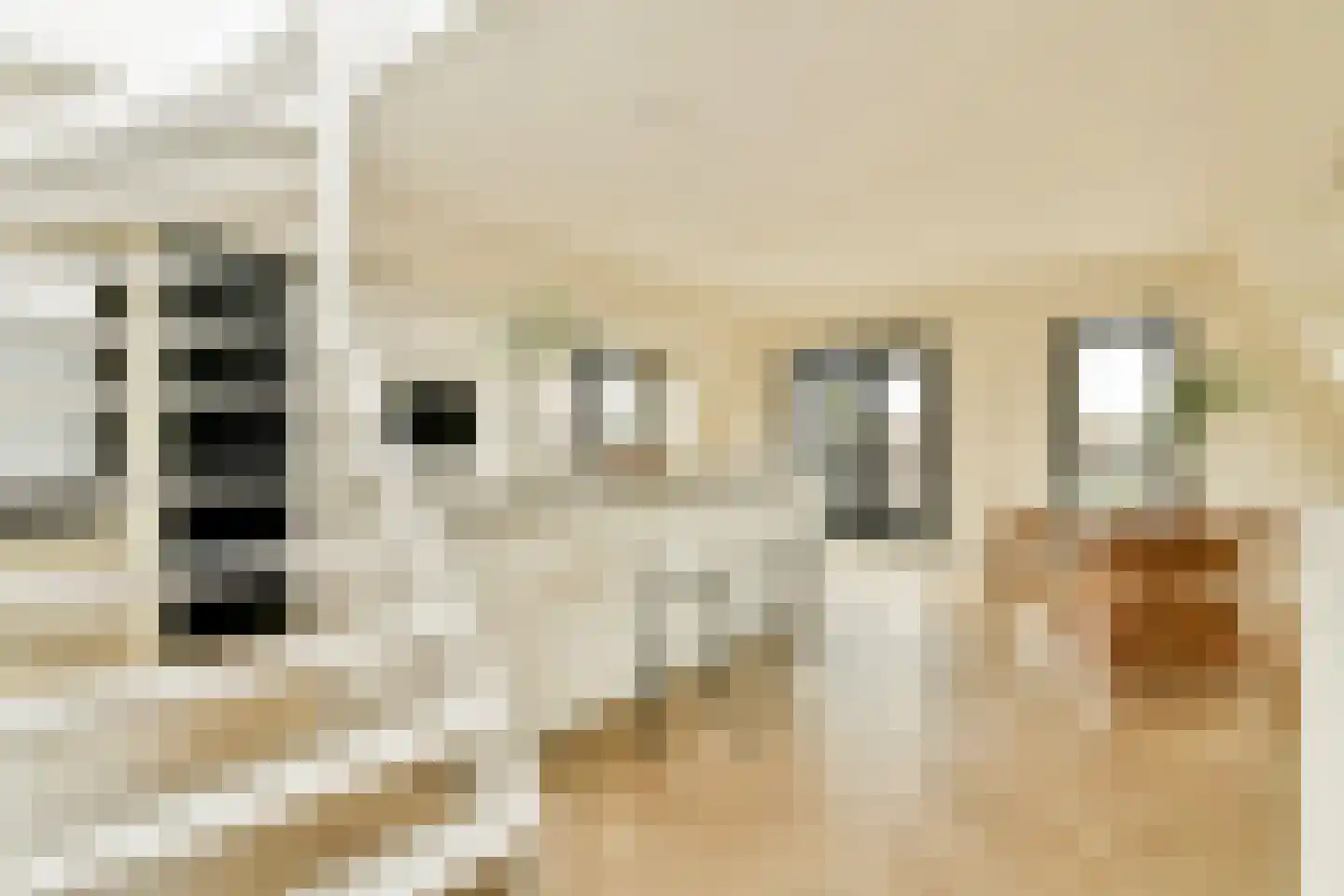 Manegelaan 16 A Hoofddorp thumbnail 17