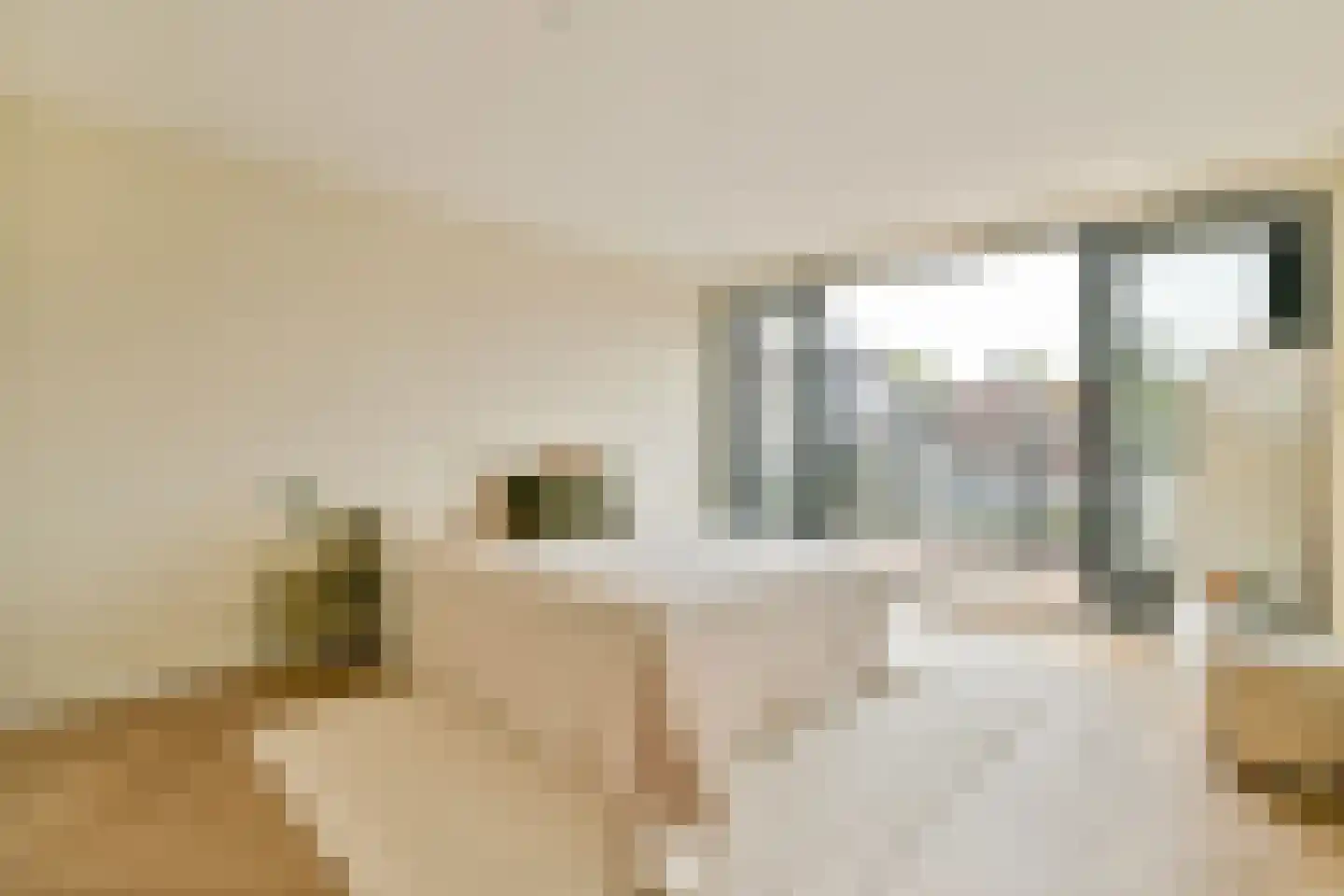 Manegelaan 16 A Hoofddorp thumbnail 21