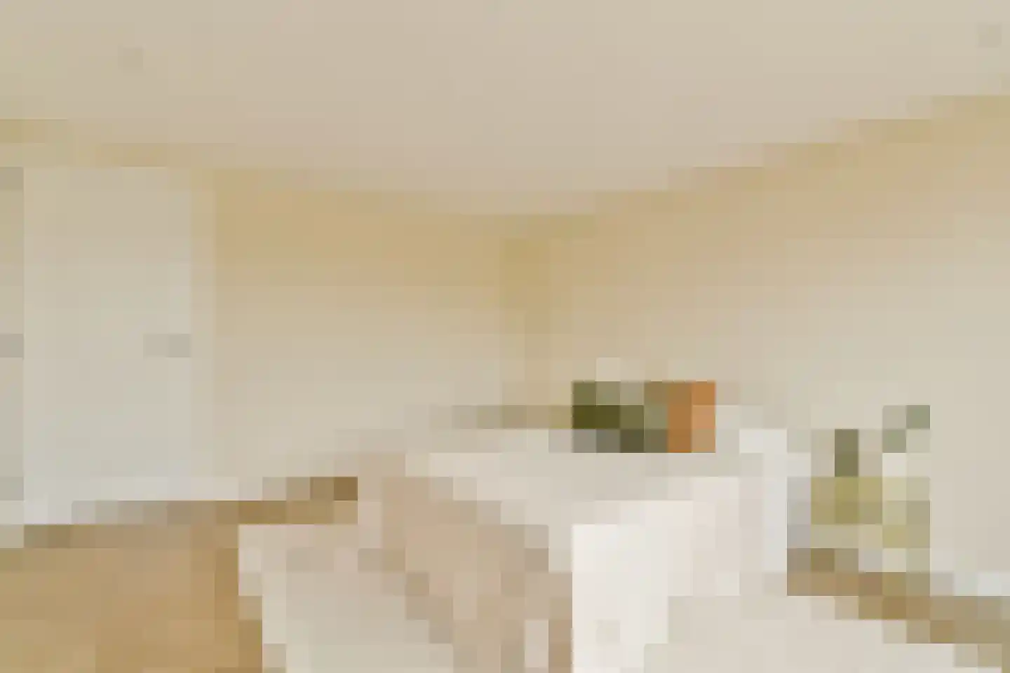 Manegelaan 16 A Hoofddorp thumbnail 23