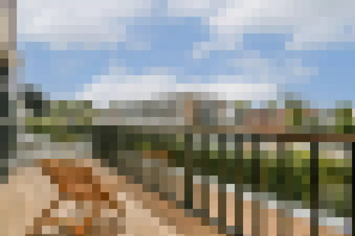 Manegelaan 16 A Hoofddorp thumbnail 25