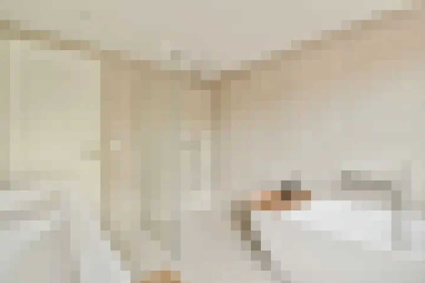 Manegelaan 16 A Hoofddorp thumbnail 28