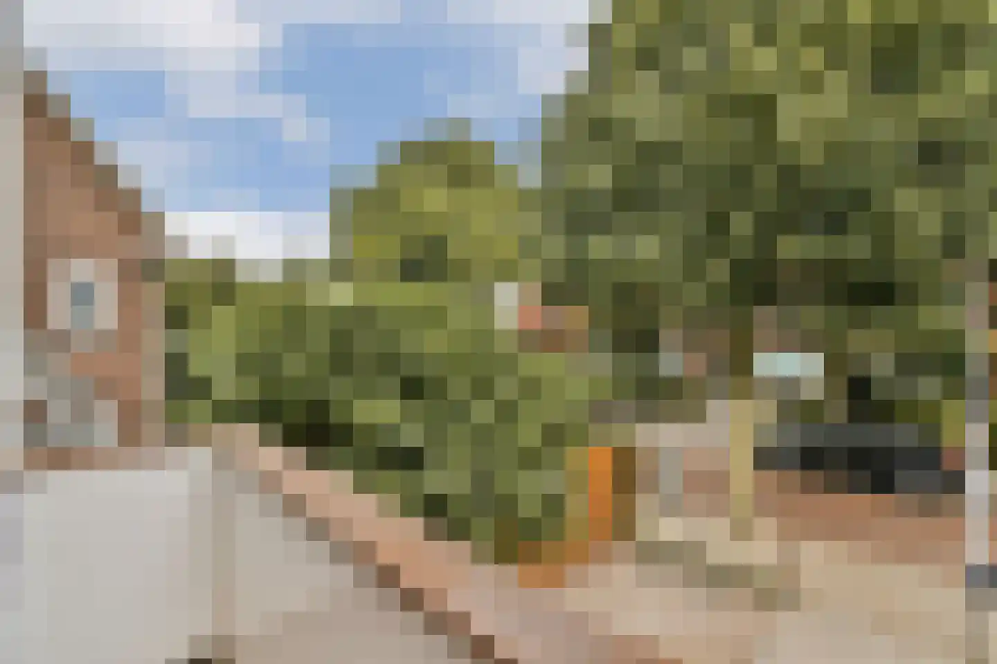 Manegelaan 16 A Hoofddorp thumbnail 31
