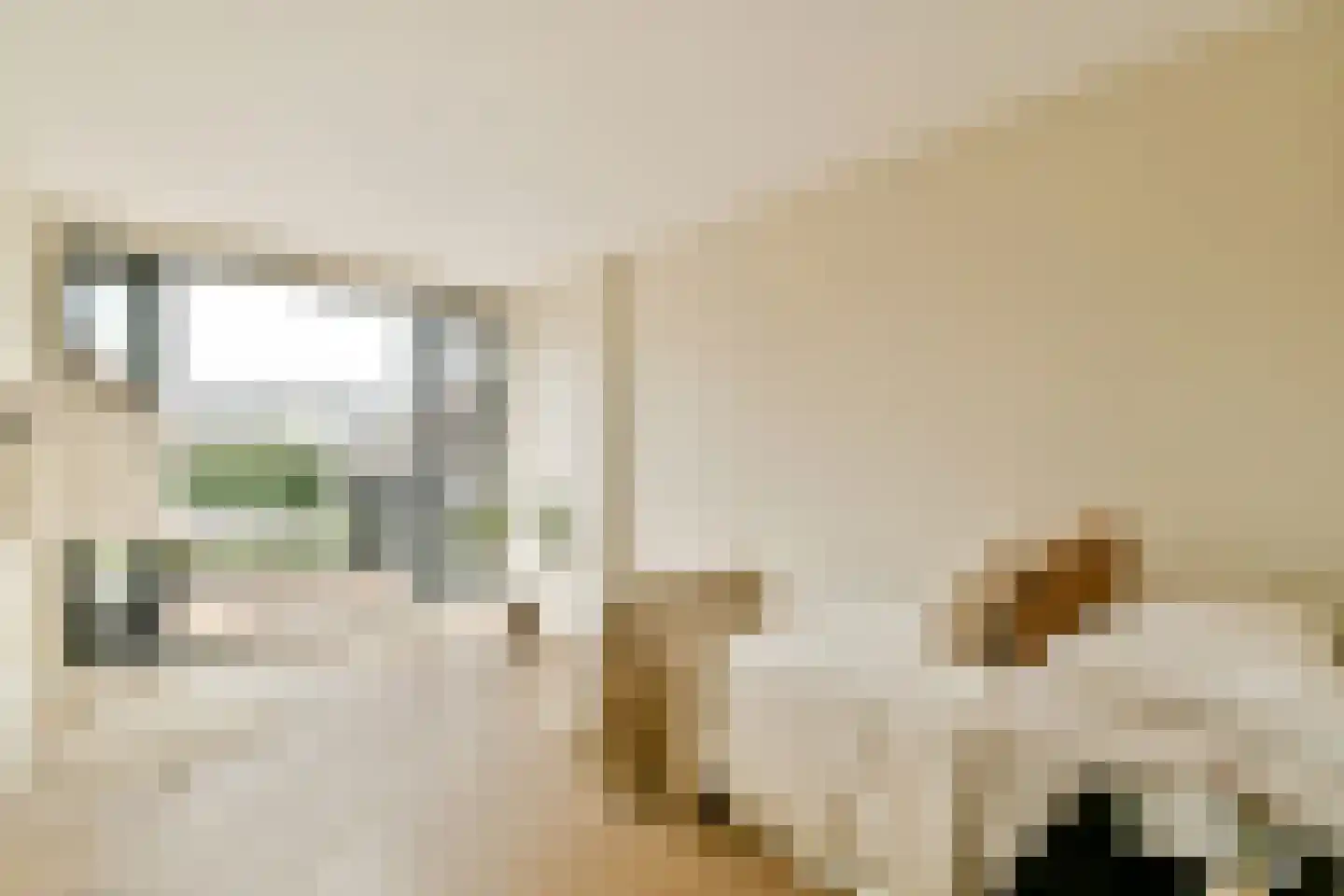 Manegelaan 16 A Hoofddorp thumbnail 32