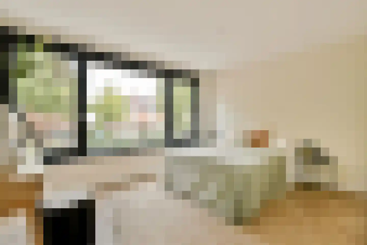 Manegelaan 16 A Hoofddorp thumbnail 34