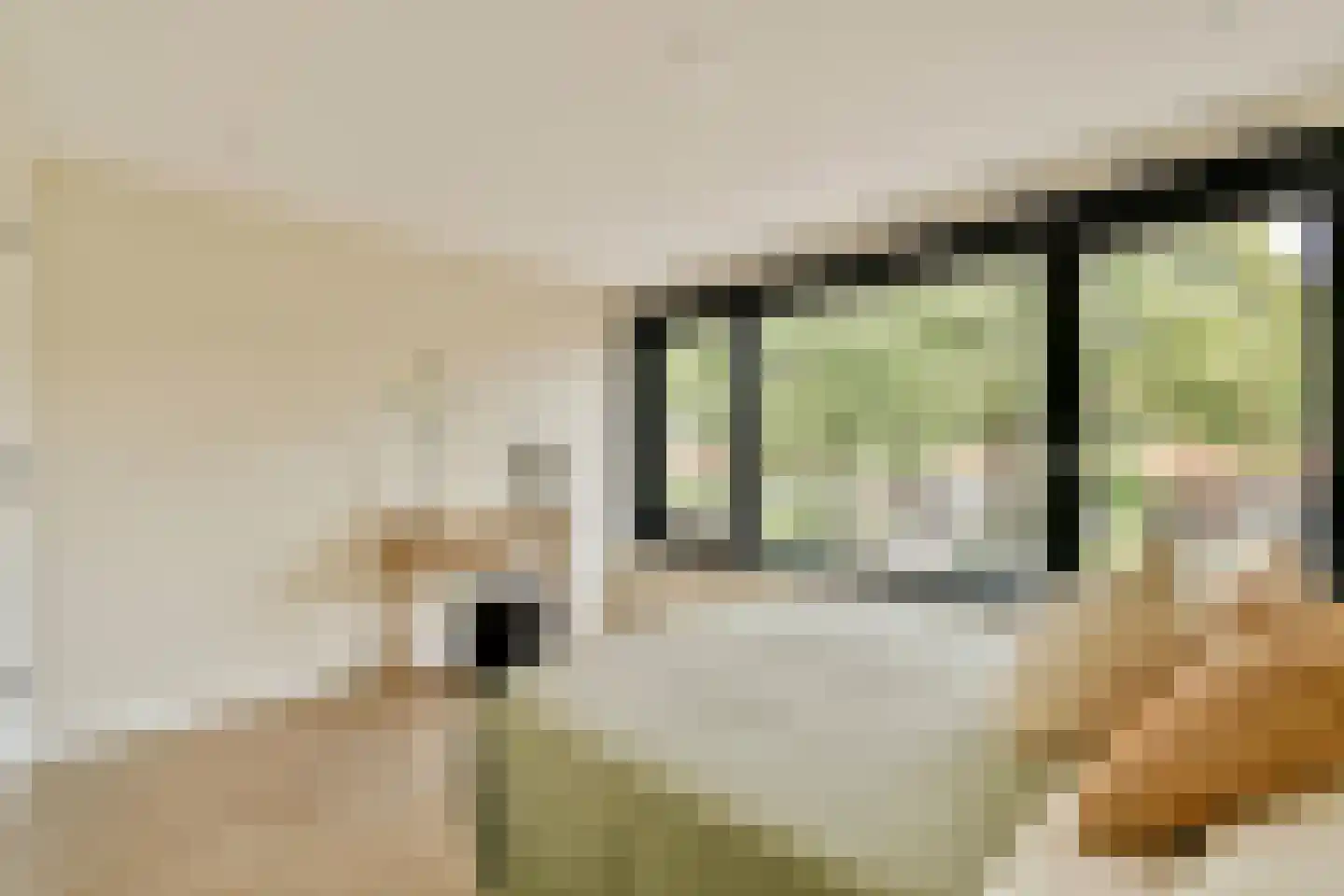 Manegelaan 16 A Hoofddorp thumbnail 35