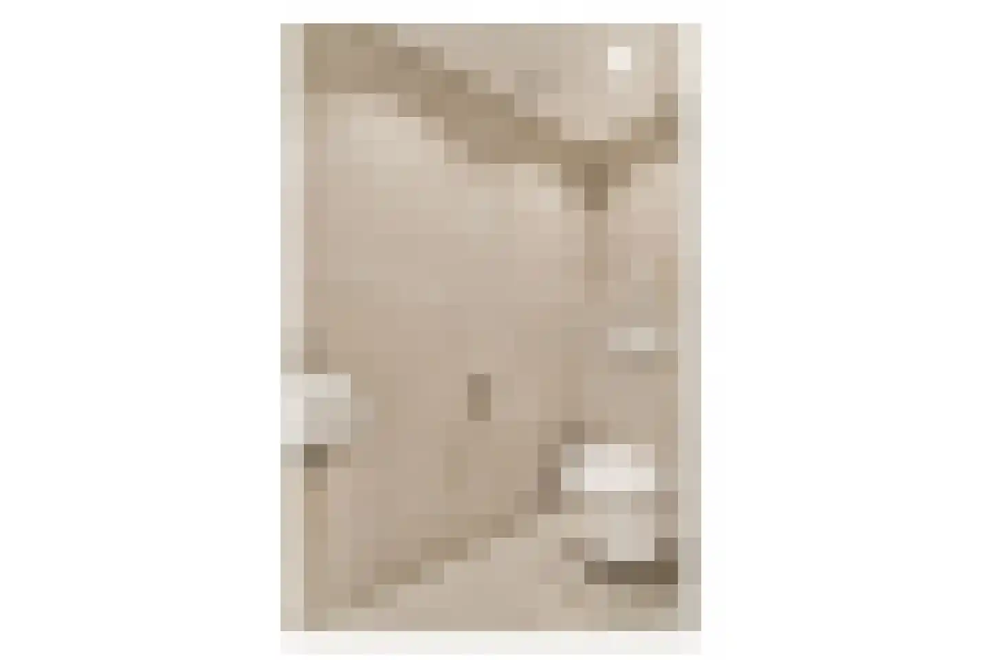 Manegelaan 16 A Hoofddorp thumbnail 36