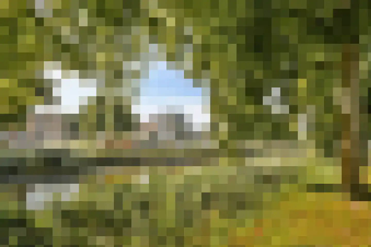 Manegelaan 16 A Hoofddorp thumbnail 37