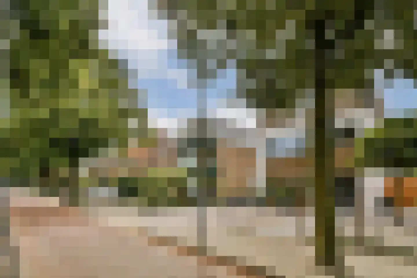 Manegelaan 16 A Hoofddorp thumbnail 41