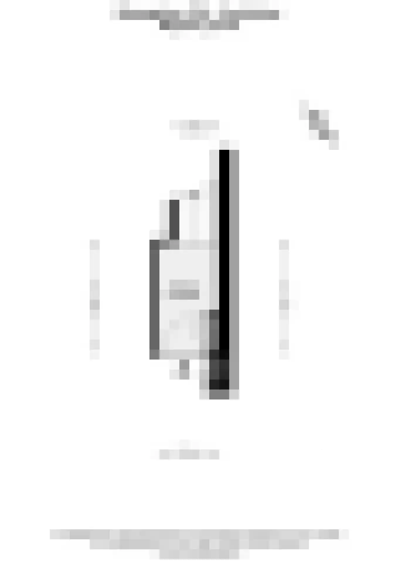 Manegelaan 16 A Hoofddorp thumbnail 43