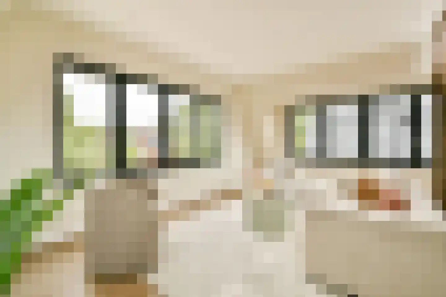 Manegelaan 16 A Hoofddorp thumbnail 6