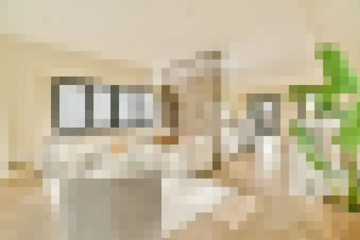 Manegelaan 16 A Hoofddorp thumbnail 7
