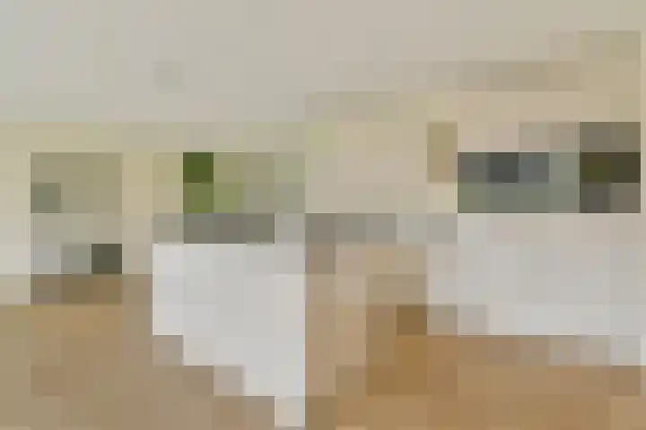 Manegelaan 16 Hoofddorp thumbnail 12