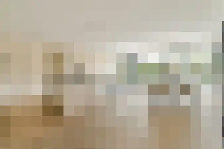Manegelaan 16 Hoofddorp thumbnail 14