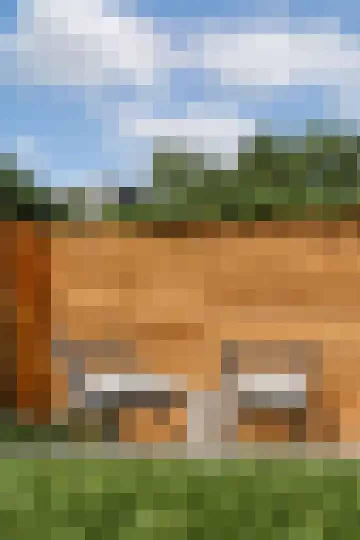Manegelaan 16 Hoofddorp thumbnail 18