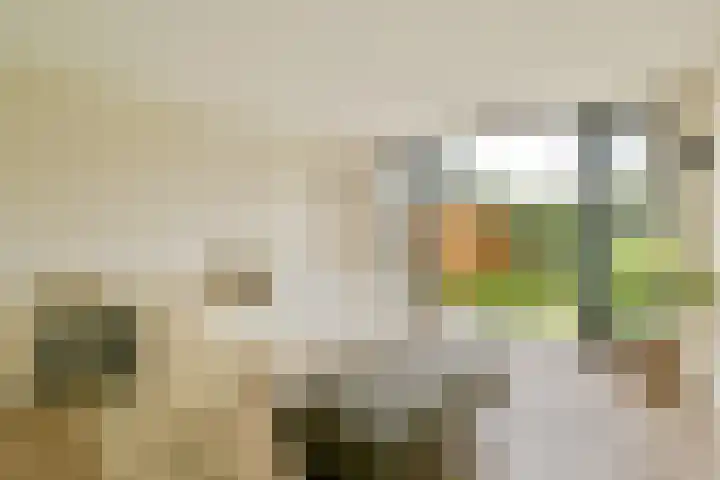 Manegelaan 16 Hoofddorp thumbnail 21