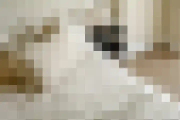 Manegelaan 16 Hoofddorp thumbnail 22