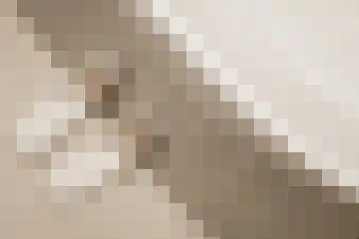 Manegelaan 16 Hoofddorp thumbnail 27
