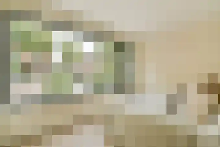 Manegelaan 16 Hoofddorp thumbnail 28