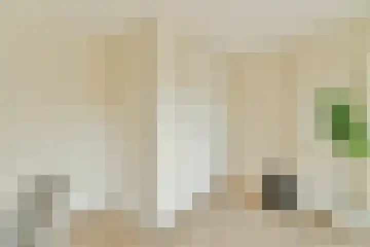 Manegelaan 16 Hoofddorp thumbnail 31