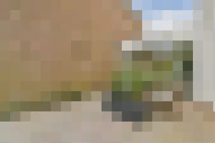 Manegelaan 16 Hoofddorp thumbnail 33
