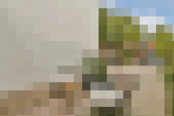 Manegelaan 16 Hoofddorp thumbnail 34