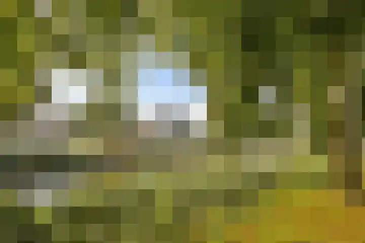 Manegelaan 16 Hoofddorp thumbnail 36