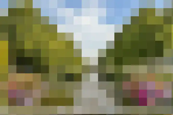 Manegelaan 16 Hoofddorp thumbnail 38