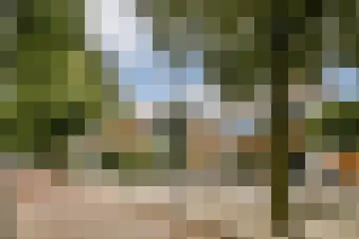 Manegelaan 16 Hoofddorp thumbnail 39