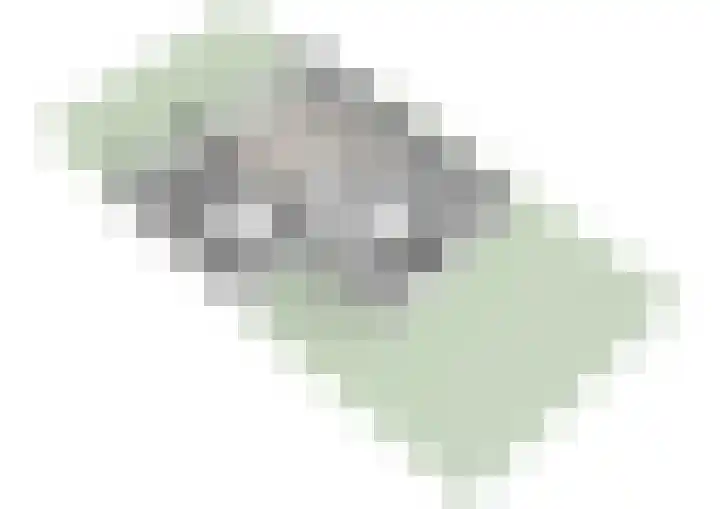 Manegelaan 16 Hoofddorp thumbnail 43