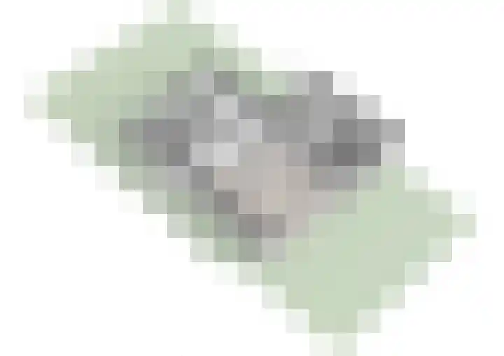 Manegelaan 16 Hoofddorp thumbnail 44