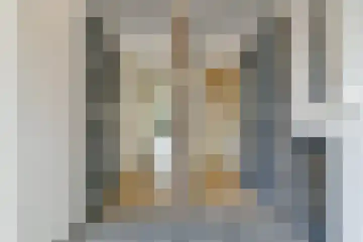 Manegelaan 16 Hoofddorp thumbnail 5