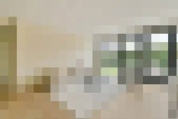 Manegelaan 16 Hoofddorp thumbnail 6