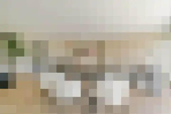 Manegelaan 16 Hoofddorp thumbnail 9
