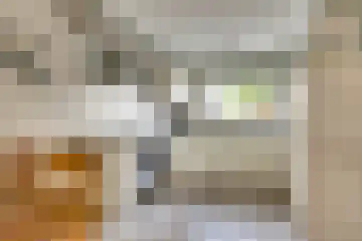 Manegelaan 2 Dronten thumbnail 11