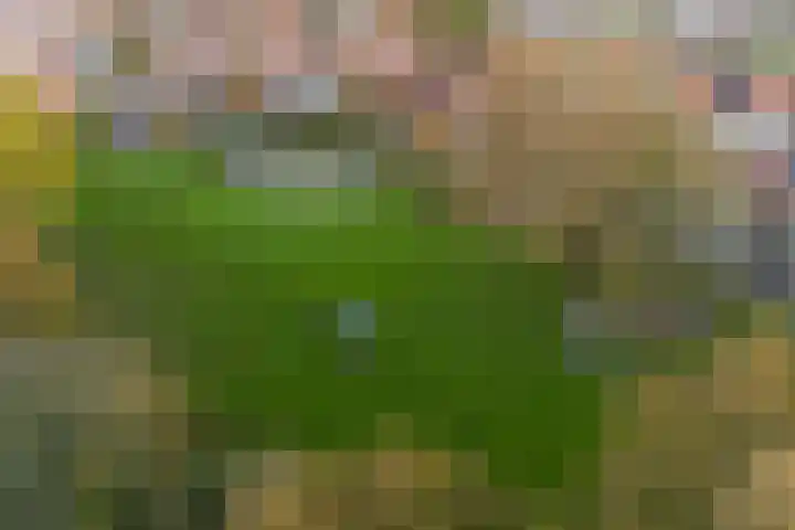 Manegelaan 2 Dronten thumbnail 13